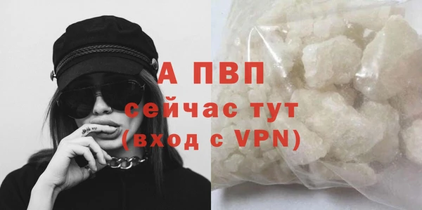 бошки Карпинск