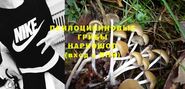 бошки Карпинск